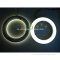 205*30mm 12W g10q led circular tube light Japan market